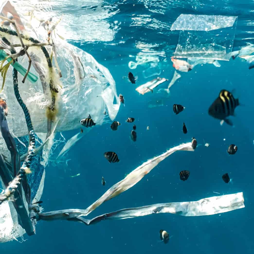 Plastic waste floating in the ocean